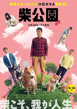 公车下身被粗暴进入在线观看