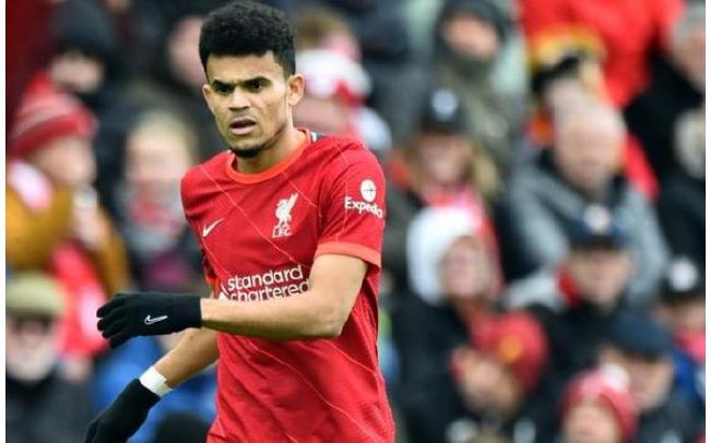 免费成人动漫