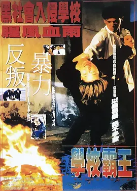 久久亚洲国产中v天仙www