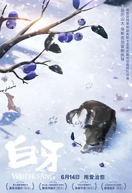 狠狠骚