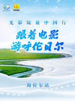 91免费视频版