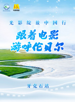 凤蝶直播