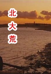 一区二区高清在线
