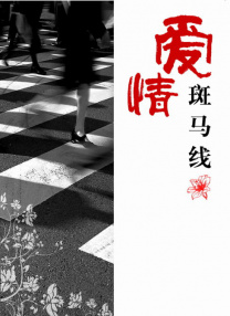 少妇被脔日常h情隐高h视频