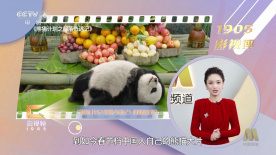 在线影视 一区 二区 三区